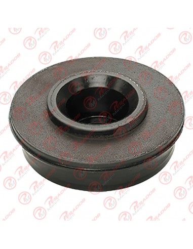 Buje Inferior Radiador (r-236) Ford/vw