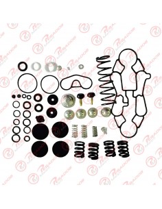 Reparacion 2642g Protectora 6 Circuitos Knorr Ae45 (23138) Modelo Nuevo (k011423)