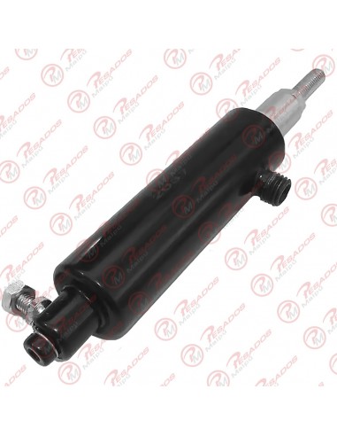 Cilindro Pare Motor (22037)