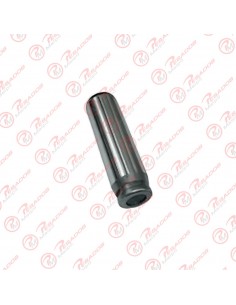 Perno Patin Volteo 30 X 102 Std (09960) (946)