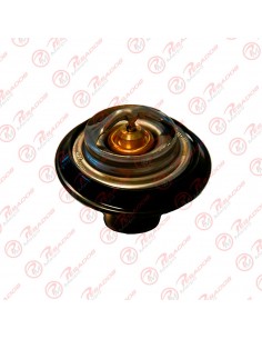 Termostato 7118 80 Agrale (961007570106)