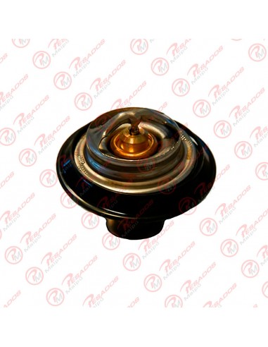 Termostato 7118 80 Agrale (961007570106)