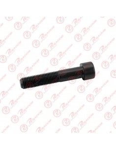 Tornillo Caja Diferencial Scania (364665)