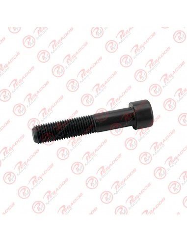 Tornillo Caja Diferencial Scania R780...