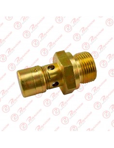 Valvula Seguridad 22mm 9,5...