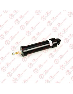 Cilindro Acc. Freno Motor...