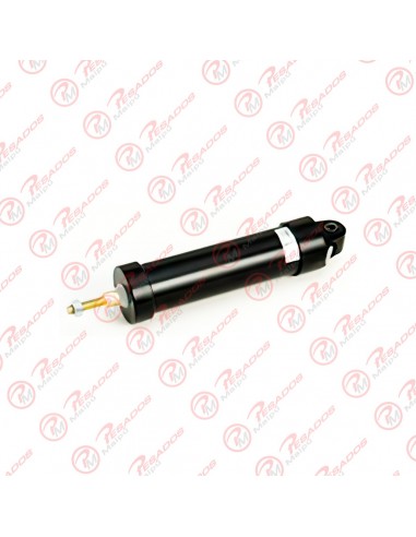 Cilindro Acc. Freno Motor Mayor (2396)