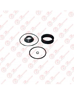 Reparacion 1238a Cilindro Alta Y Baja Gv Zf 63mm (1295298933) (3394) (qa-940c)