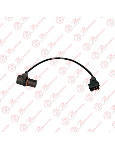 Sensor Giro Arbol Levas (1702)  Iveco...