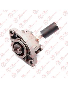 Bomba Combustible Sc S4/s5...