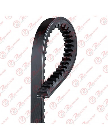 Correa 11a1195 Skf
