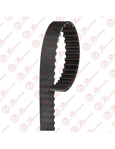 Correa 135shx254 Skf