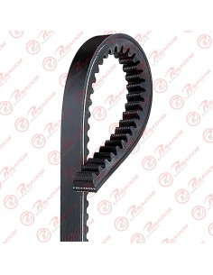 Correa 13a1025 Dayco