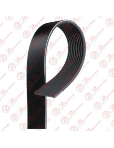 Correa Poli V 10pk1725 Dayco