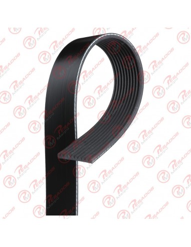 Correa Poli V 10pk1725 Dayco