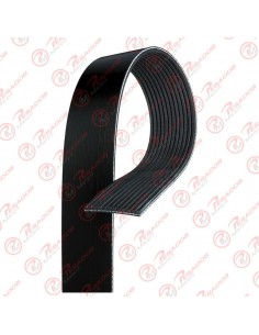 Correa Poli V 12pk1830 Dayco