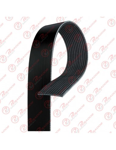 Correa Poli V 12pk1830 Dayco