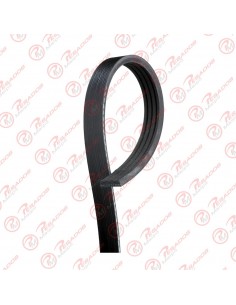 Correa Poli V 4pk0991...