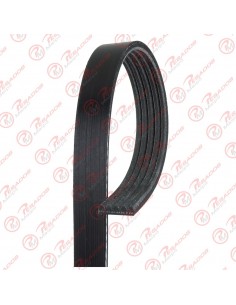 Correa Poli V 5pk1190 Dayco