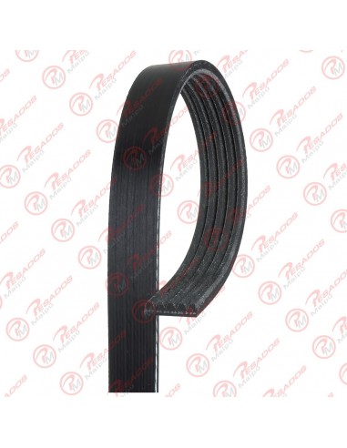 Correa Poli V 5pk1750 Dayco