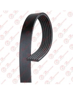 Correa Poli V 6pk1875 Skf