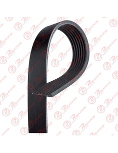 Correa Poli V 7pk3103 Skf