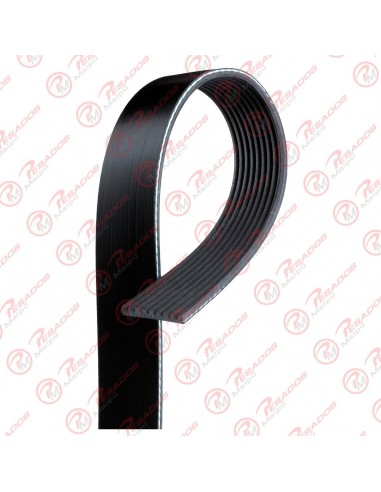 Correa Poli V 9pk2045 Goodyear