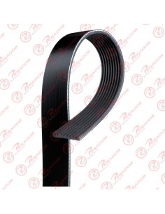 Correa Poli V 9pk2295 Gates