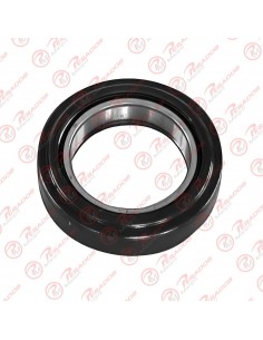 Crapodina Embrague 95030r...