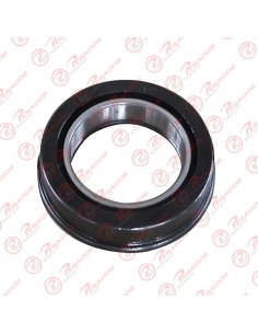 Crapodina Embrague 95015r...