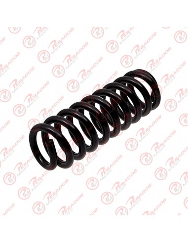 Juego Espirales Suspension Ford F4000...