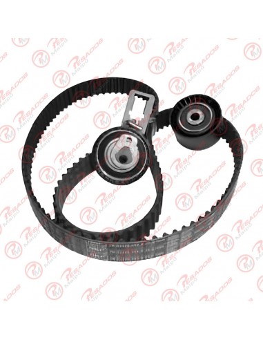 Kit Distribucion Citroen C4 (03316)