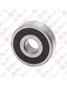 Rodamiento Alternador Ntp...