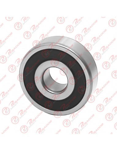 Rodamiento Alternador Ntp (b 17-99)