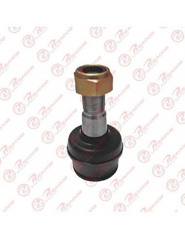 Rotula Inferior Ford F100 92/99 Lena...