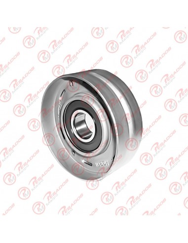 Tensor Correa Apv 2856 Iveco Skf (60001)