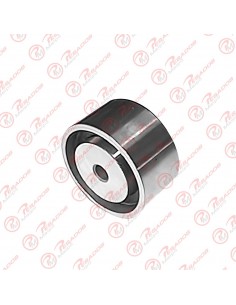 Tensor Correa Apv 2189...