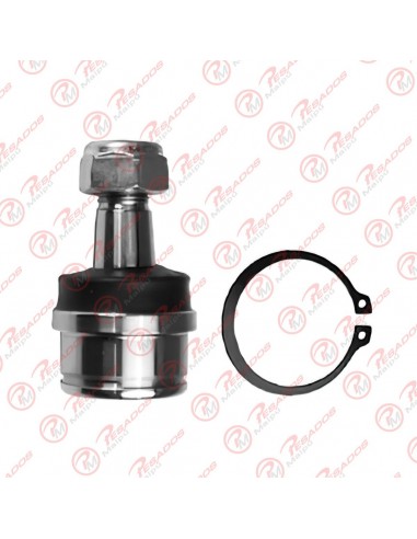 Rotula Ford Inferior F100 92/99 Pivot...