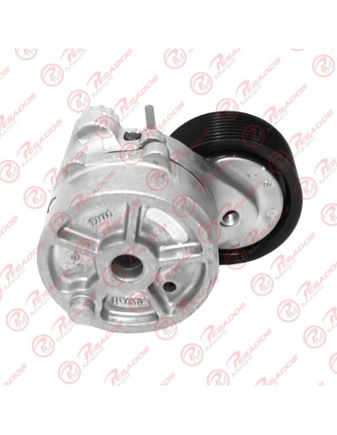 Tensor Correa Apv 2451 Mb Axor 1933...