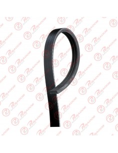 Correa Poli V 3pk0905 Dayco