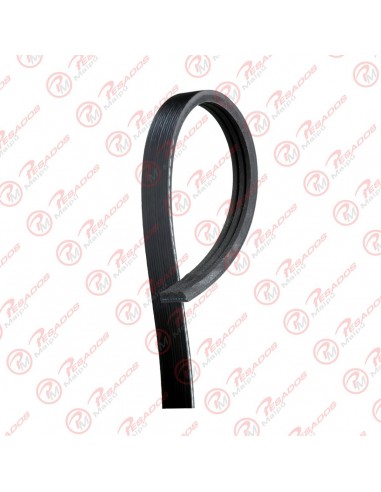 Correa Poli V 3pk0905 Dayco