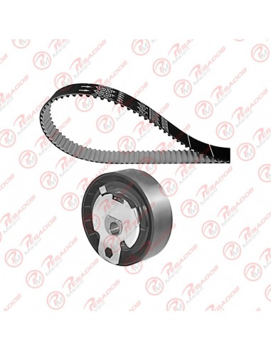 Kit Distribucion Ford Focus (04108)