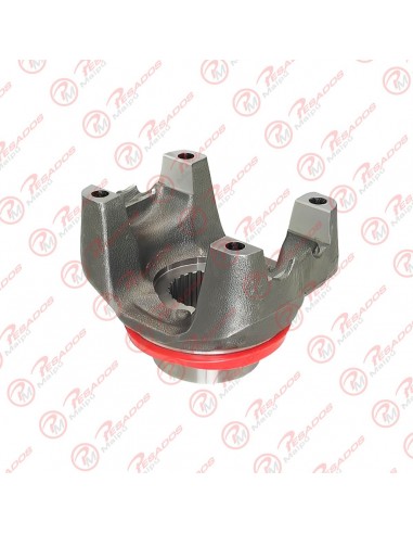Brida Cardan/piñon (fl1479) 24ex59,8...