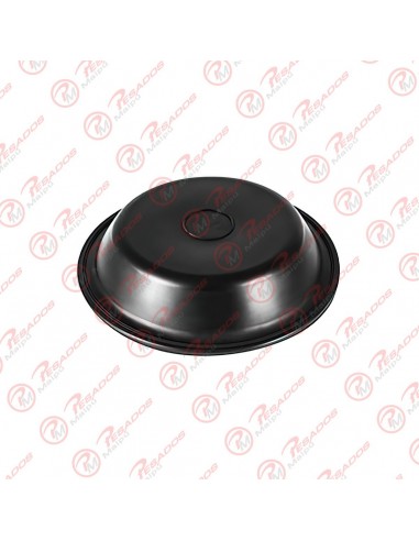 Diafragma 30 Bendix Bins (40110101)