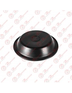 Diafragma 24 Bendix Bins...