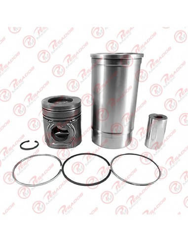 Conjunto Motor Scania P94 (550265)...