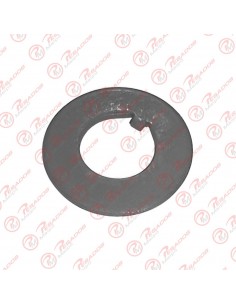 Arandela Punta Eje Ford Cargo (330-004)