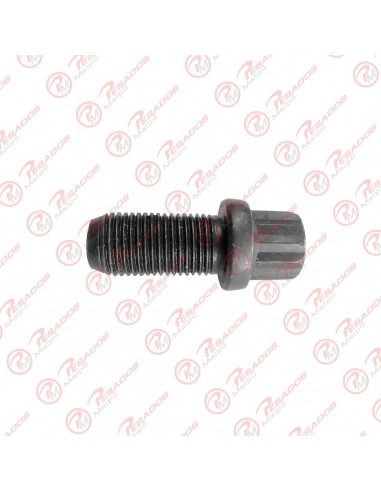 Bulon Cruceta 1/2 X 1 (410-036)