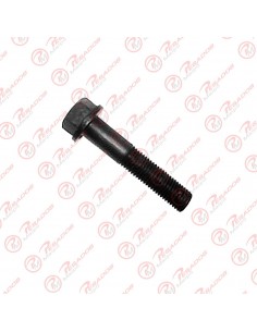 Bulon Soporte Motor 1114 12 X 60 (09814)