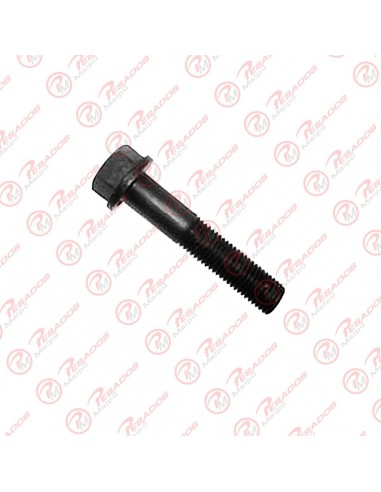 Bulon Soporte Motor 1114 12 X 60 (09814)